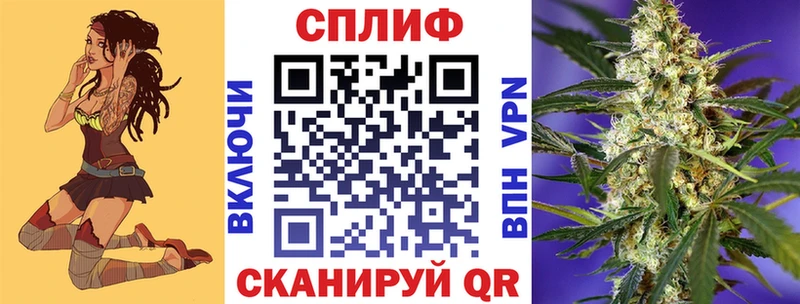 наркота  Гаврилов-Ям  Каннабис планчик 